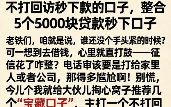 不打回访秒下款的口子，整合5个5000块贷款秒下口子