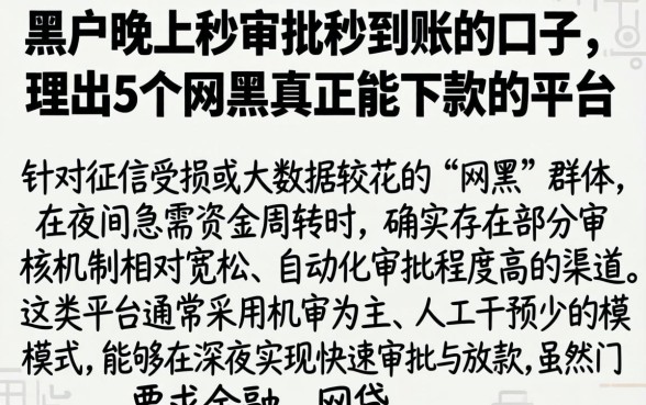 黑户晚上秒审批秒到账的口子，理出5个网黑真正能下款的平台