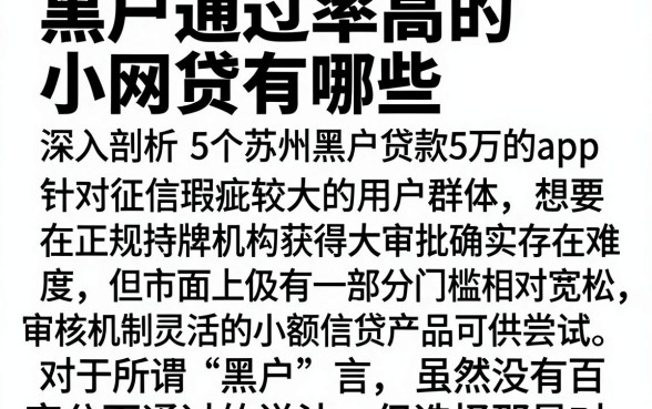 黑户通过率高的小网贷有哪些，深入剖析5个苏州黑户贷款5万的app