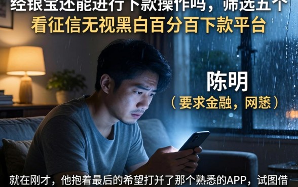 经银宝还能进行下款操作吗，筛选五个不看征信无视黑白百分百下款平台