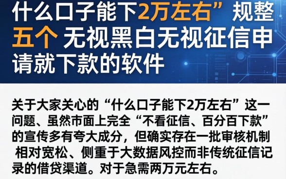 什么口子能下2万左右，规整五个无视黑白无视征信申请就下款的软件
