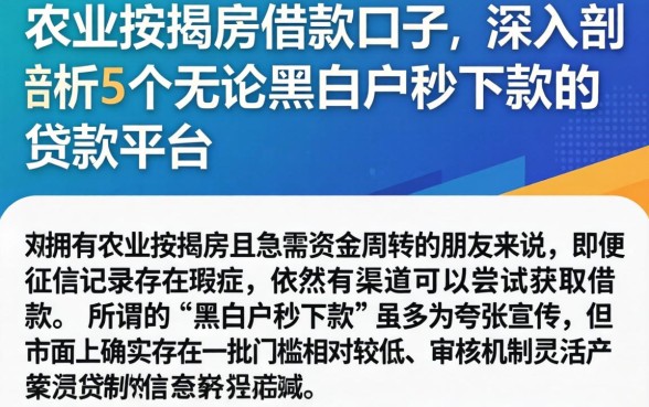 农业按揭房借款口子,深入剖析5个无论黑白户秒下款的贷款平台