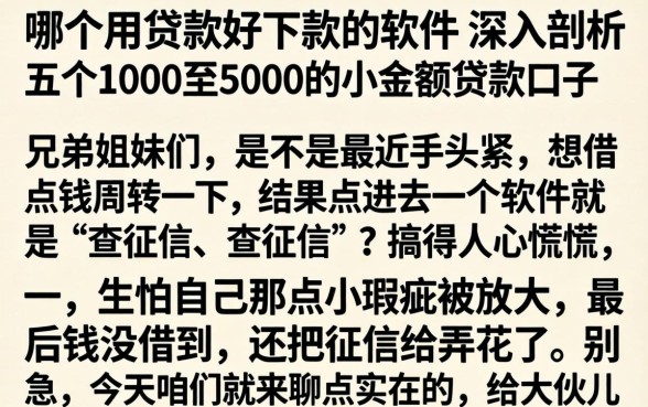哪个用贷款好下款的软件,深入剖析五个1000至5000的小额贷款口子