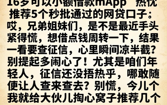 16岁可以小额借款的app，热忱推荐5个秒批通过的网贷口子