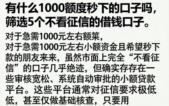有什么1000额度秒下的口子吗,筛选5个不看征信的借钱口子