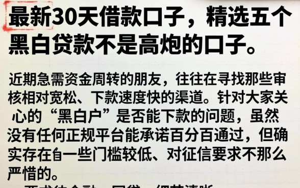 最新30天的借款口子,精选五个黑白贷款不是高炮的口子