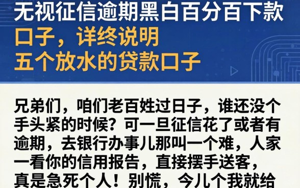 无视征信逾期黑白百分百下款口子,详尽说明五个放水的贷款口子