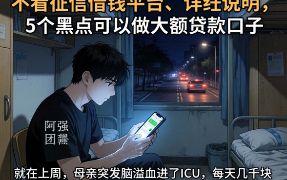 不看征信借钱的平台，详尽说明5个黑户可以做大额贷款口子