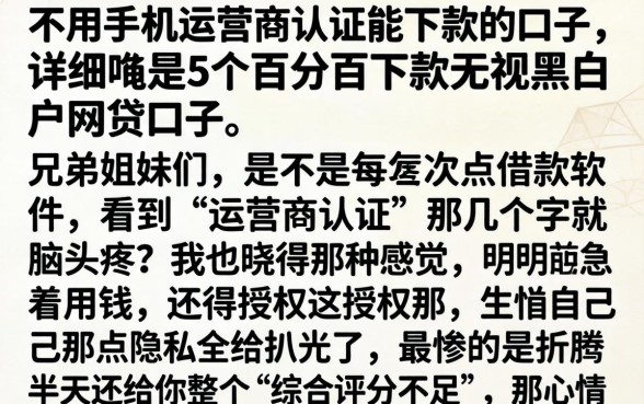 不用手机运营商认证能下款的口子，详细阐述5个百分百下款无视黑白户网贷口子
