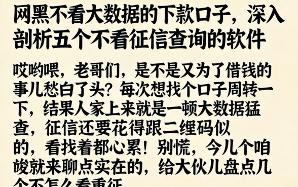 网黑不看大数据的下款口子，深入剖析五个不看征信查询的软件