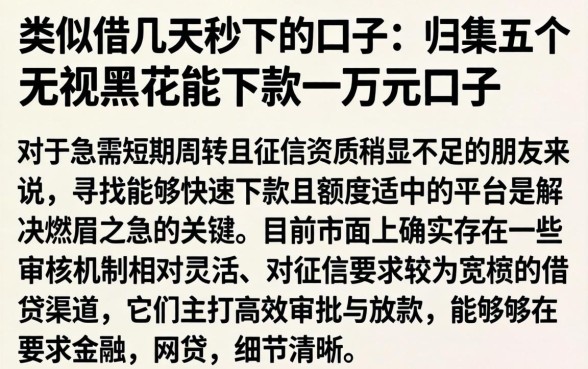 类似借几天秒下的口子，归集五个无视黑花能下款一万元口子