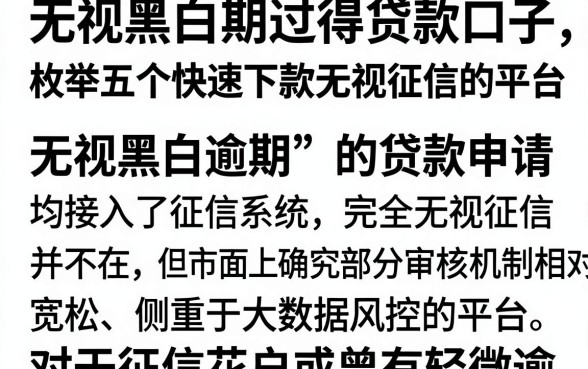 无视黑白逾期过得贷款口子，枚举五个快速下款无视征信的平台