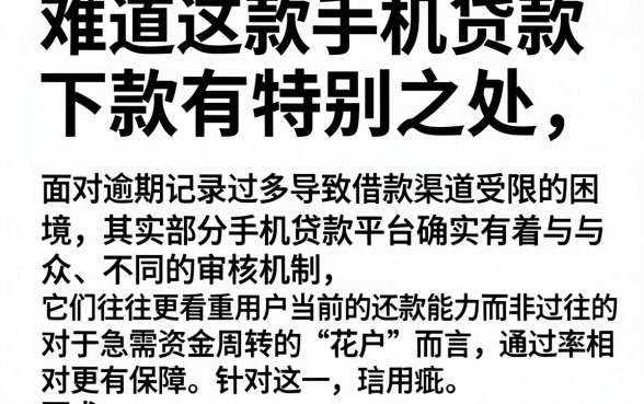 难道这款手机贷款下款有特别之处，陈列五个逾期太多能下款口子