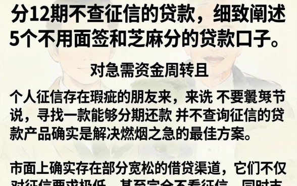 分12期不查征信的贷款，细致阐述5个不用面签和芝麻分的贷款口子