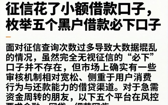 征信花了小额借款口子，枚举五个黑户借款必下口子
