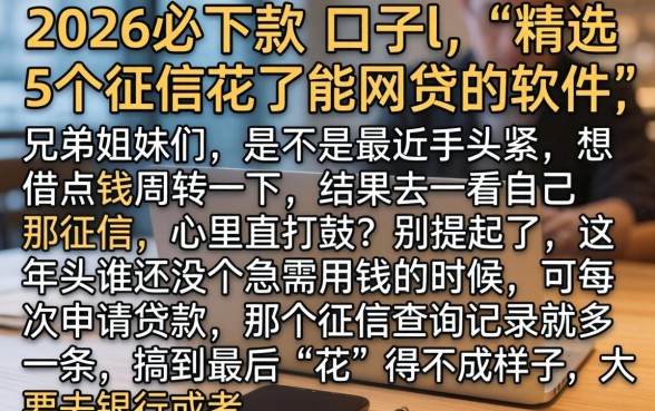 2026必下款的口子l，精选5个征信花了能网贷的软件