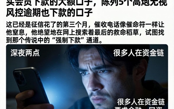 买会员下款的大额口子，陈列5个高炮无视风控逾期也下款的口子