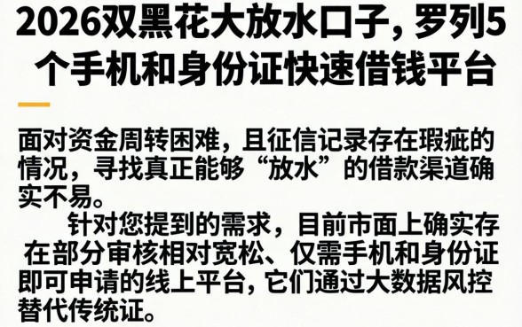 2026双黑花大放水口子,罗列5个手机和身份证快速借钱平台