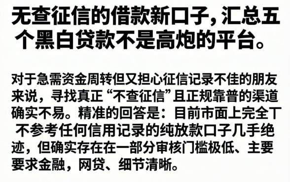 无查征信的借款新口子，汇总五个黑白贷款不是高炮的平台