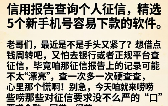信用报告查询个人征信，精选5个新手机号容易下款的软件