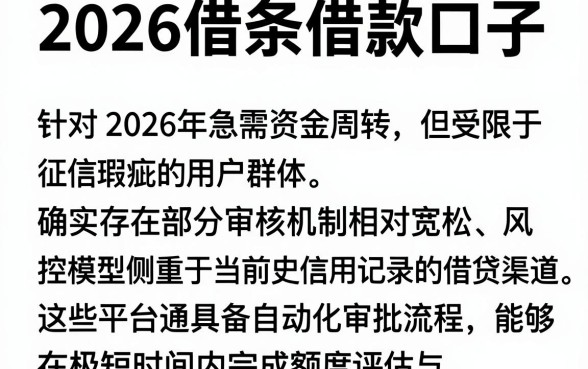2026借条借款口子,筛选5个黑户可快速办理小额贷款业务的软件
