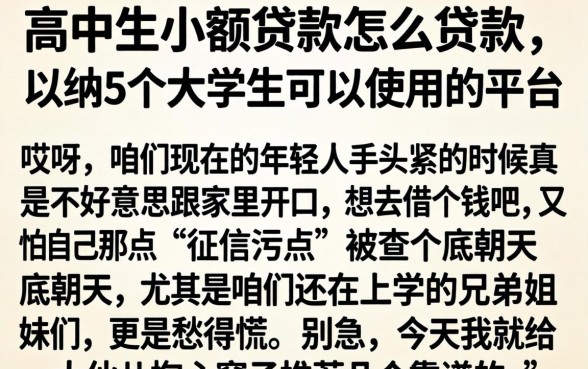 高中生小额贷款怎么贷款,归纳5个大学生可以使用的平台