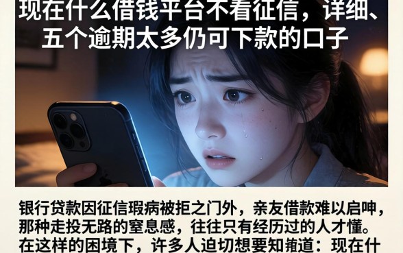 现在什么借钱平台不看征信,详尽说明五个逾期太多仍可下款的口子