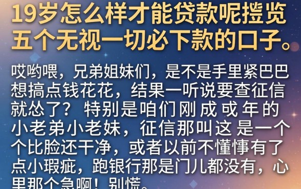 19岁怎么样才能贷款呢，概览五个无视一切必下款的口子