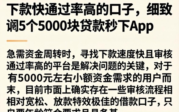 下款快通过率高的口子,细致阐述5个5000块贷款秒下app