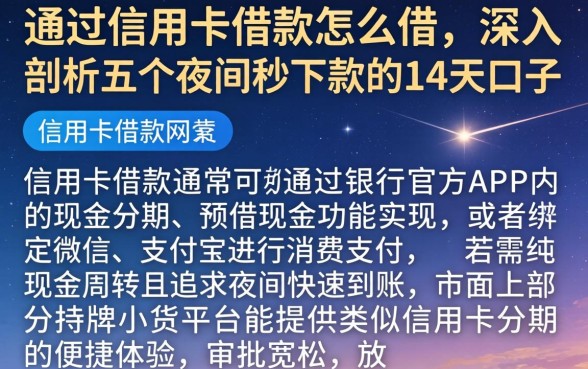 通过信用卡借款怎么借，深入剖析五个夜间秒下款的14天口子