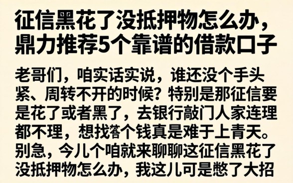征信黑花了没抵押物怎么办，鼎力推荐5个靠谱的借款口子