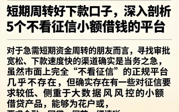 短期周转好下款的口子，深入剖析5个不看征信小额借钱的平台