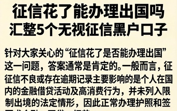 征信花了能办理出国吗，汇整5个无视征信黑户口子