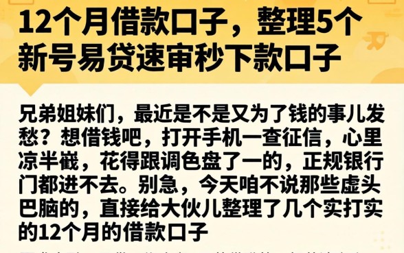 12个月的借款口子，整理5个新号易贷速审秒下款口子
