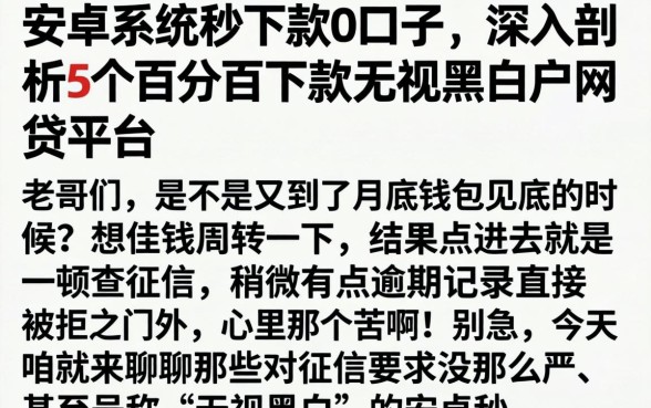 安卓系统秒下款的口子，深入剖析5个百分百下款无视黑白户网贷平台