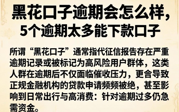 黑花口子逾期会怎么样,枚举5个逾期太多能下款口子