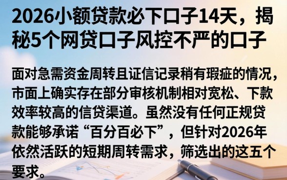 2026小额贷款必下口子14天，揭秘5个网贷口子风控不严的口子