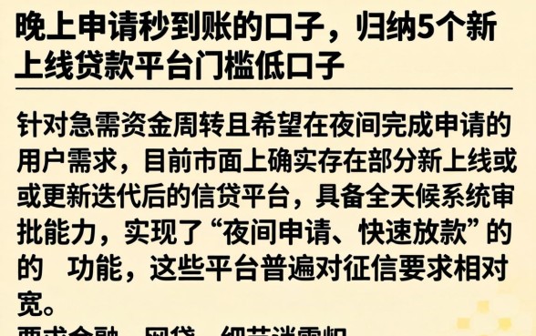 晚上申请秒到账的口子,归纳5个新上线贷款平台门槛低口子