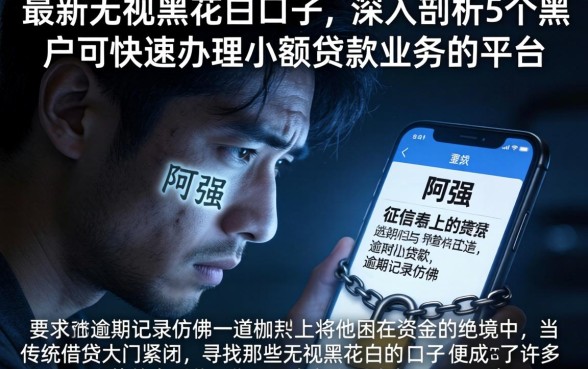 最新无视黑花白的口子，深入剖析5个黑户可快速办理小额贷款业务的平台