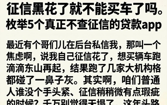 征信黑花了就不能买车了吗，枚举5个真正不查征信的贷款app