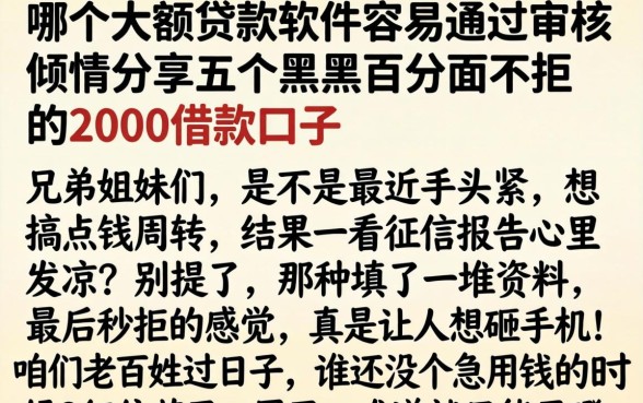 哪个大额贷款软件容易通过审核，倾情分享五个黑户百分百不拒的2000借款口子