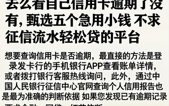 怎么看自己信用卡逾期了没有,甄选五个急用小钱不求征信流水轻松贷的平台