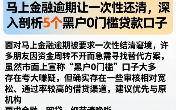 马上金融逾期让一次性还清，深入剖析5个黑户0门槛贷款口子