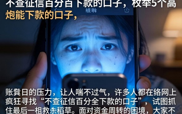 不查征信百分百下款的口子，枚举5个高炮能下款的口子