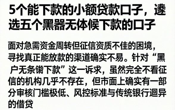 5个能下款的小额贷款口子,遴选五个黑户无条件下款的口子