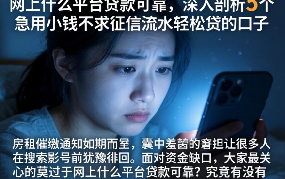网上什么平台贷款可靠，深入剖析5个急用小钱不求征信流水轻松贷的口子