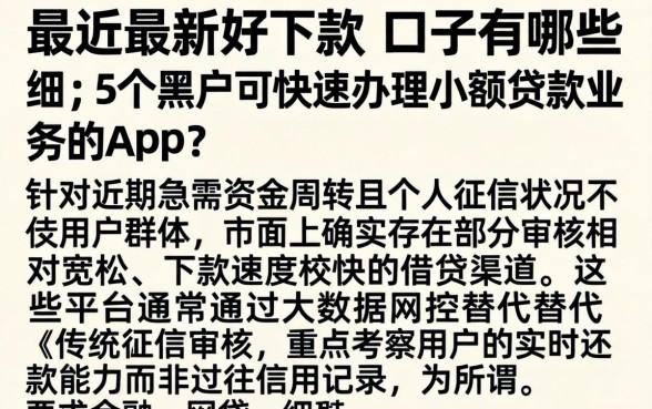 最近最新好下款的口子有哪些，细致阐述5个黑户可快速办理小额贷款业务的app