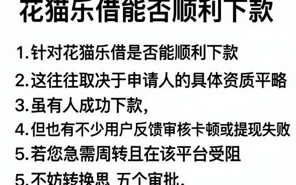 花猫乐借能否顺利下款,条列五个闪电审批的口子