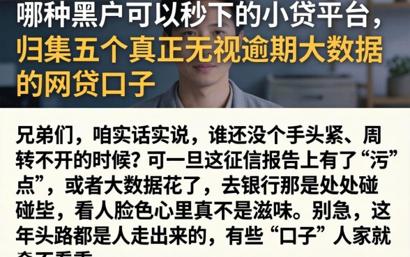 哪种黑户可以秒下的小贷平台，归集五个真正无视逾期大数据的网贷口子