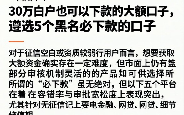 30万白户也可以下款的大额口子,遴选5个黑户必下款的口子
